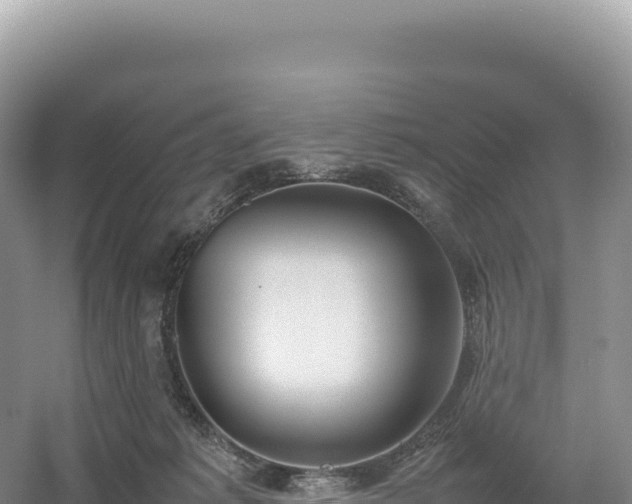 X0000054390221200508051656