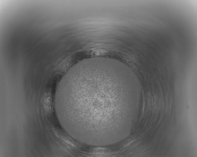 X0000054390222200508051656