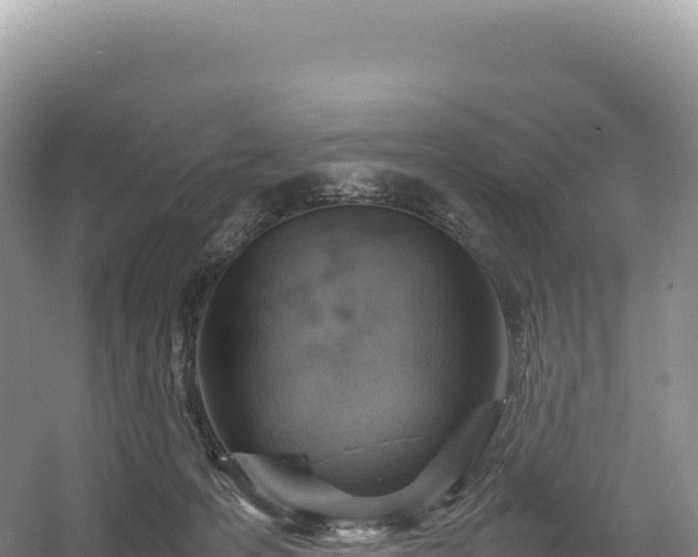 X0000054390223200508051656