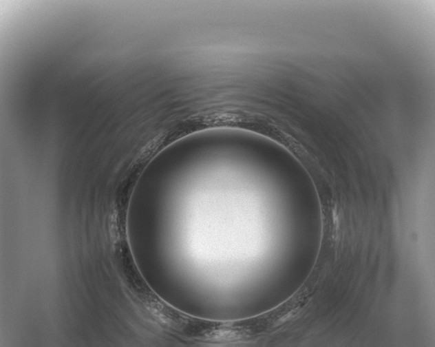 X0000054390224200508051656