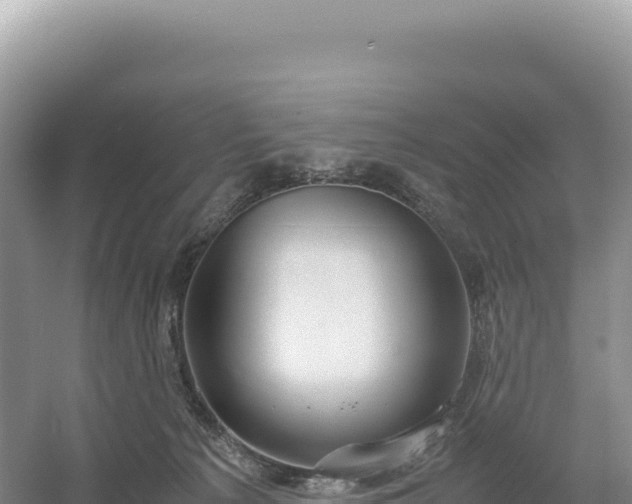 X0000054390225200508051656