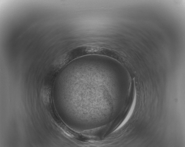 X0000054390227200508051656