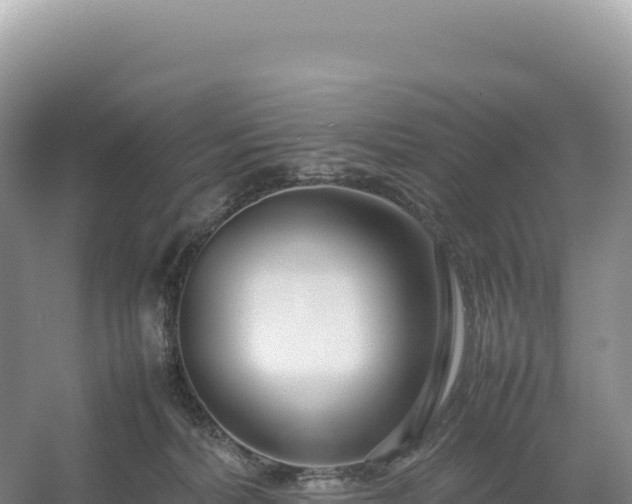 X0000054390228200508051656