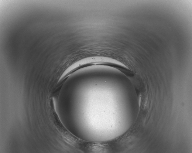 X0000054390229200508051656