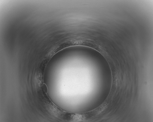 X0000054390230200508051656