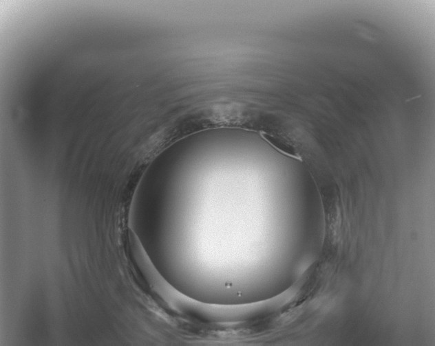 X0000054390233200508051655