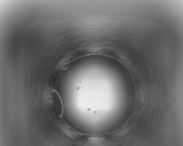 X0000054390234200508051655