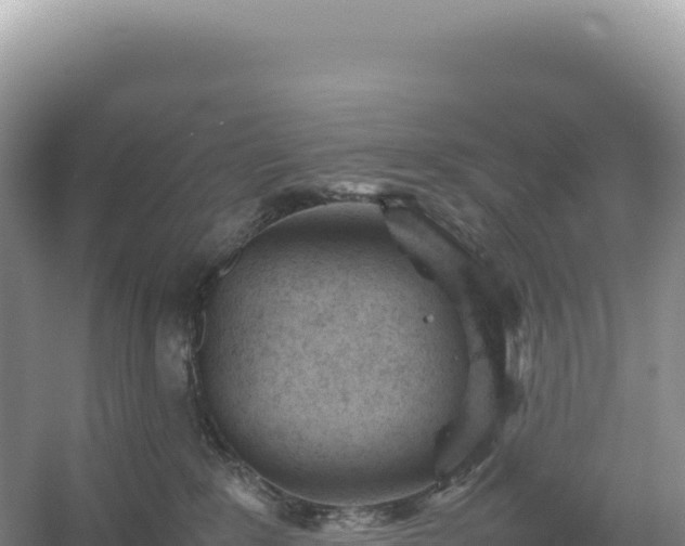 X0000054390235200508051655