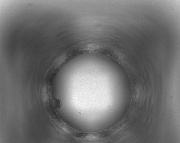 X0000054390236200508051655