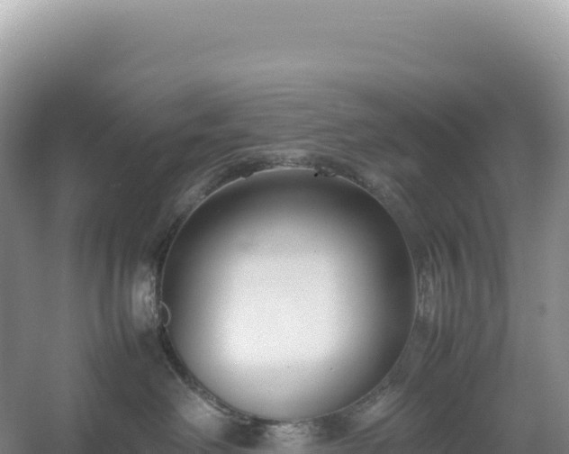 X0000054390238200508051655