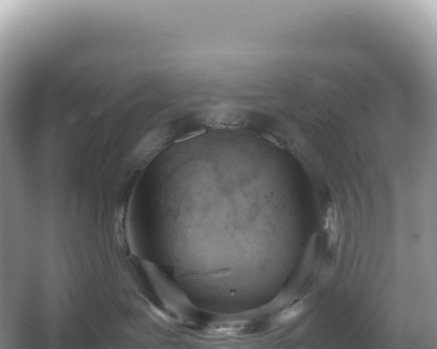 X0000054390239200508051655