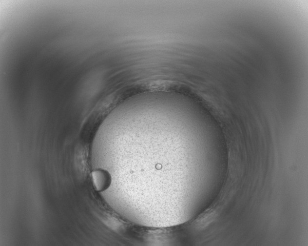 X0000054390240200508051655