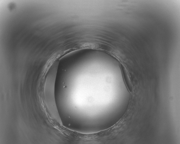 X0000054390241200508051655