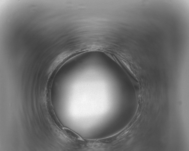 X0000054390242200508051655