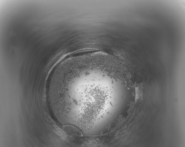 X0000054390243200508051655