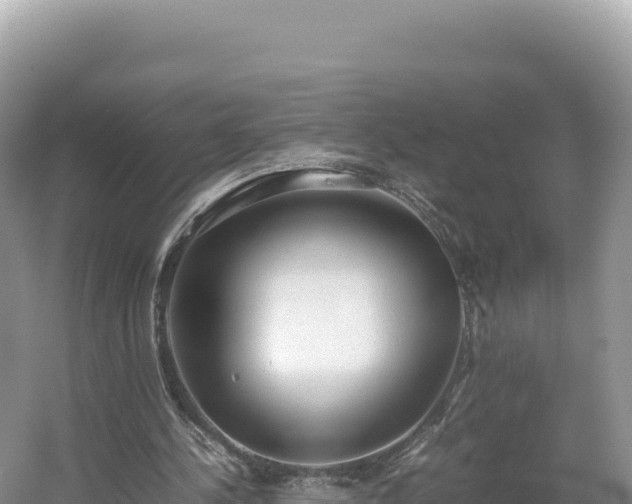 X0000054390244200508051655