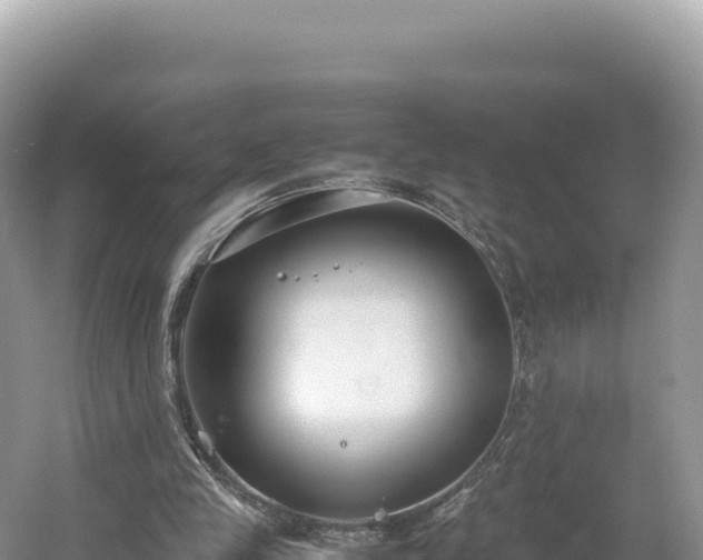 X0000054390245200508051655