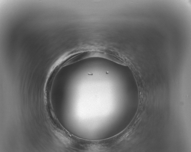 X0000054390246200508051655