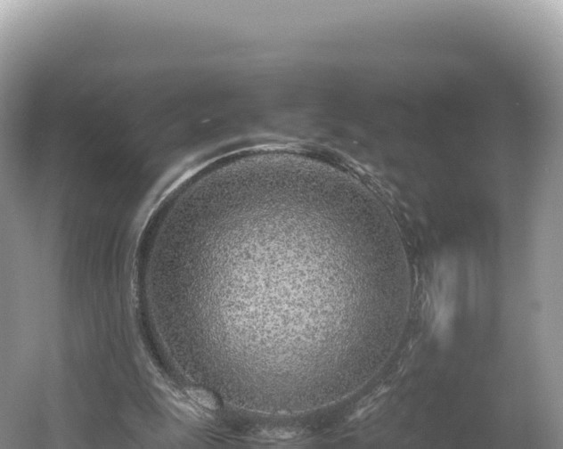 X0000054390247200508051655