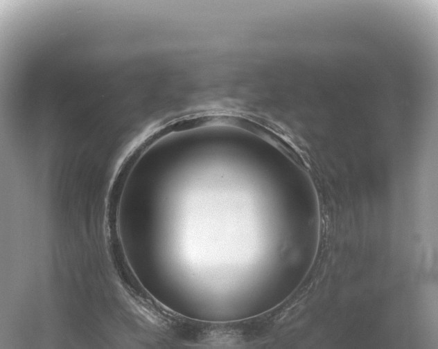 X0000054390248200508051655