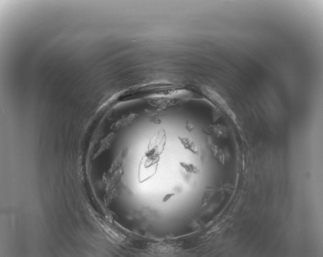 X0000054390249200508051655