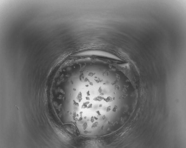 X0000054390250200508051655