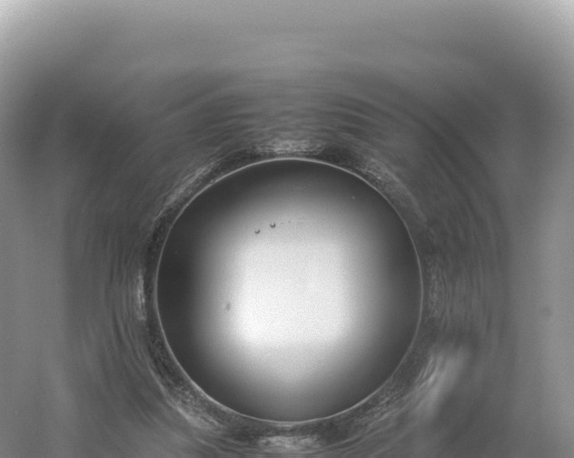 X0000054390251200508051655