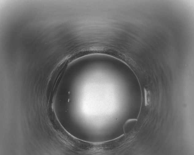 X0000054390252200508051655