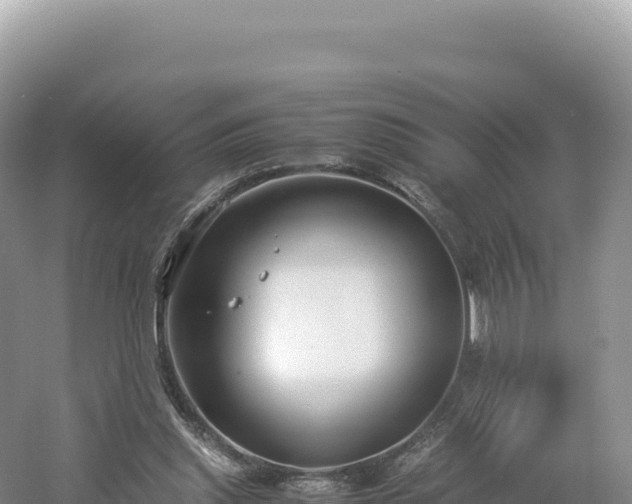 X0000054390253200508051655