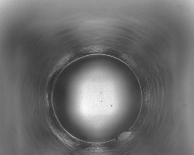 X0000054390254200508051655