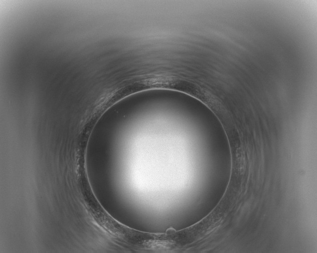 X0000054390255200508051655