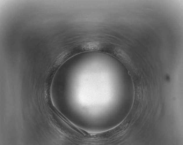 X0000054390259200508051655