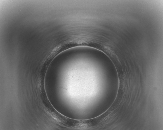 X0000054390260200508051655