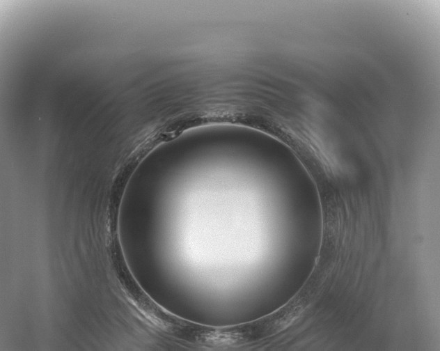 X0000054390261200508051655