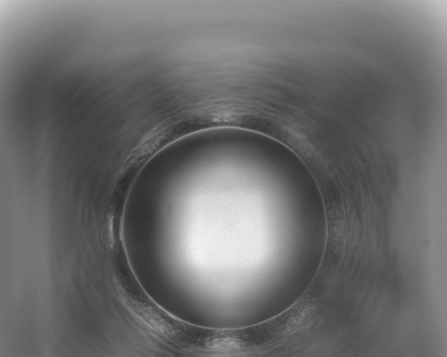 X0000054390262200508051655