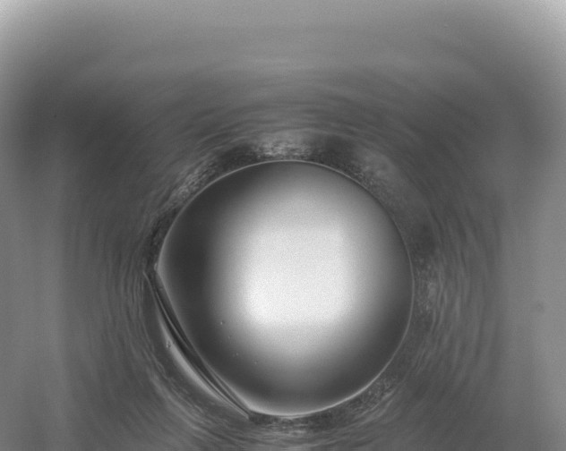 X0000054390263200508051655