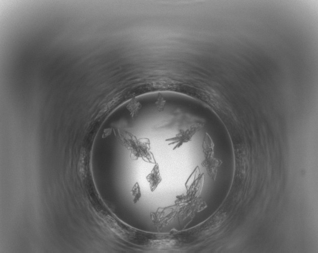 X0000054390266200508051655