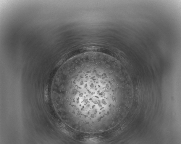 X0000054390267200508051655