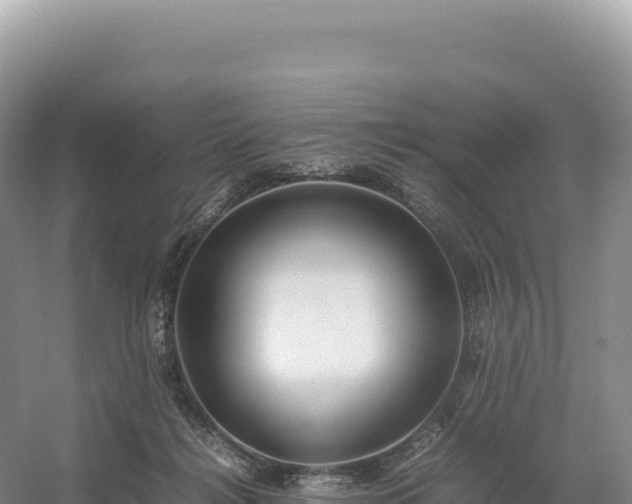 X0000054390268200508051655