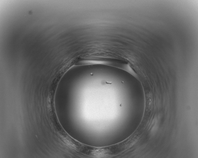 X0000054390269200508051655