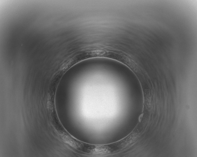 X0000054390270200508051655