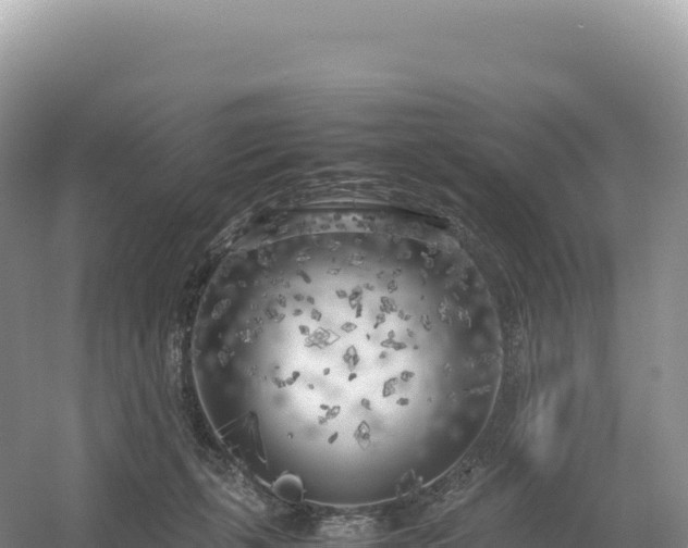 X0000054390271200508051655