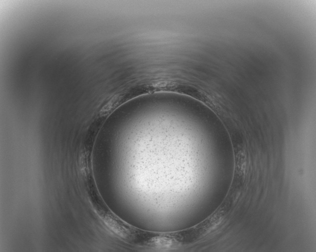 X0000054390272200508051655