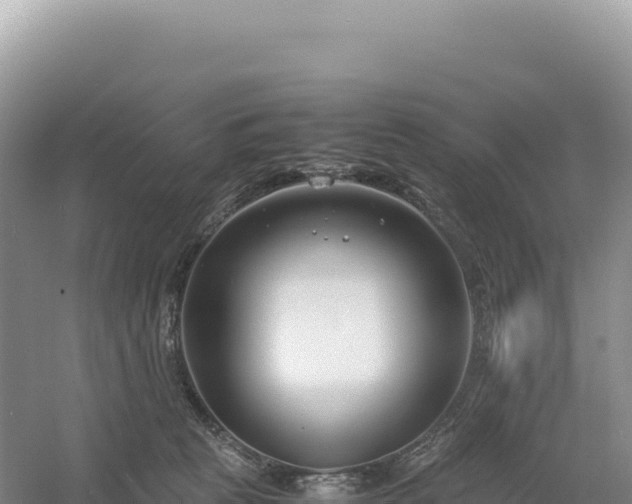 X0000054390273200508051655