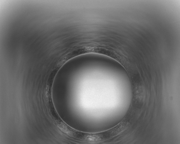 X0000054390275200508051655