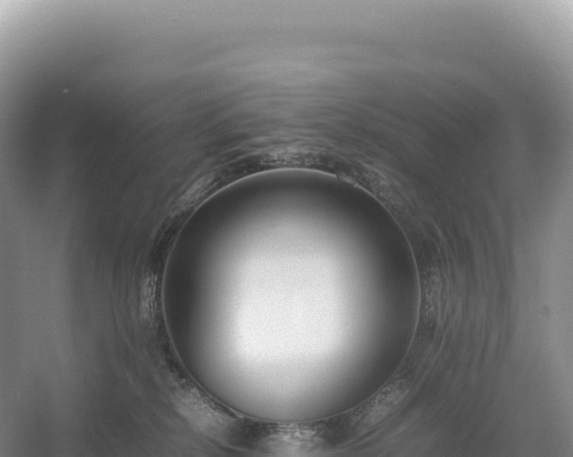 X0000054390278200508051655