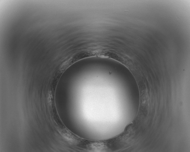 X0000054390279200508051655