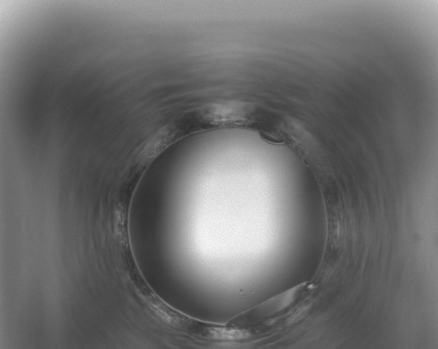 X0000054390281200508051655