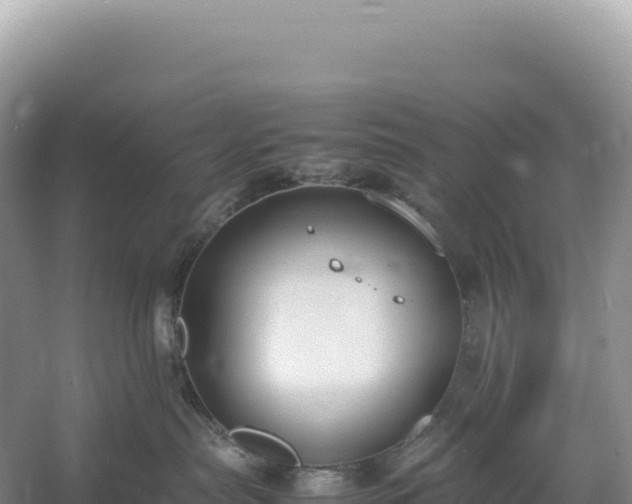 X0000054390287200508051655