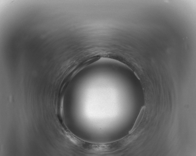 X0000054390288200508051655